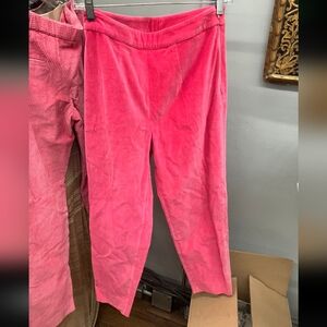 nwt Sample Frances Valentine Women's Pink Velvet Pants